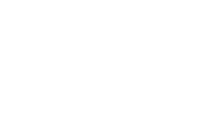 Logo blanc text